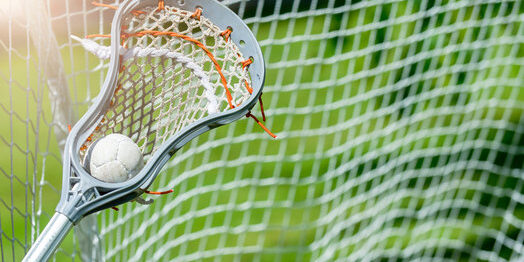 lacrosse net lacrosse net